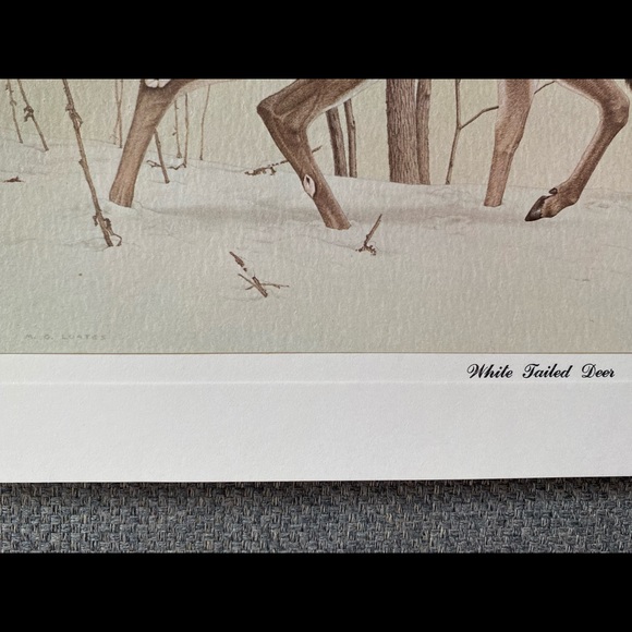 M.G. Loates prints, ca. 1967 - Picture 6 of 8